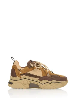 PLUTO | Brown / Bronze